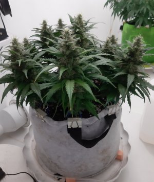 20230819_150110.jpg 20230819_150110.jpg