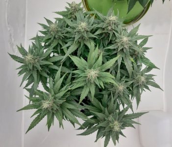 20230819_150428.jpg 20230819_150428.jpg