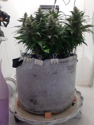 20230819_150712.jpg 20230819_150712.jpg