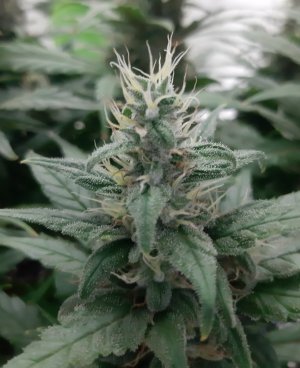 20230819_150610.jpg 20230819_150610.jpg