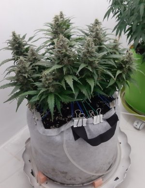 20230819_151151.jpg 20230819_151151.jpg