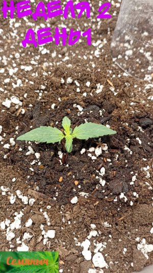 Picsart_23-08-14_08-00-22-928.jpg Picsart_23-08-14_08-00-22-928.jpg