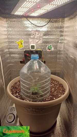 Picsart_23-08-19_07-27-27-286.jpg Picsart_23-08-19_07-27-27-286.jpg