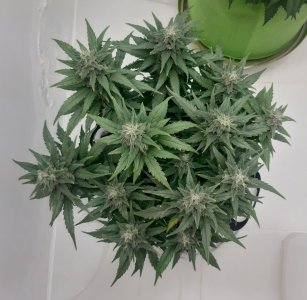 20230820_115520.jpg 20230820_115520.jpg