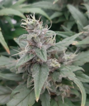 20230712_182342.jpg 20230712_182342.jpg