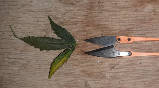 20230820_120009.jpg 20230820_120009.jpg