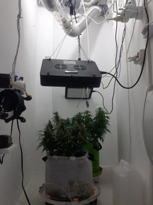 20230820_120439.jpg 20230820_120439.jpg