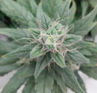 20230717_171931.jpg 20230717_171931.jpg