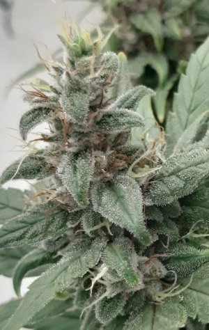 20230717_171828.jpg 20230717_171828.jpg