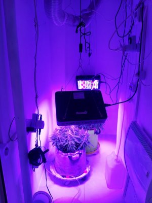 20230821_213213.jpg 20230821_213213.jpg