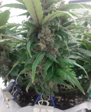 20230821_213513.jpg 20230821_213513.jpg