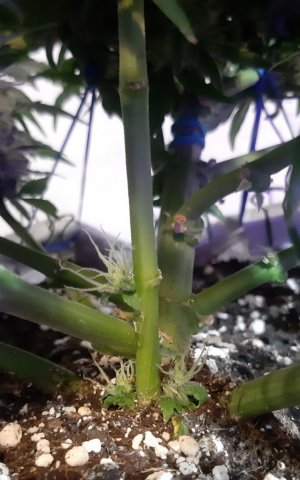 20230821_213907.jpg 20230821_213907.jpg