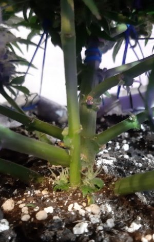 20230821_213842.jpg 20230821_213842.jpg