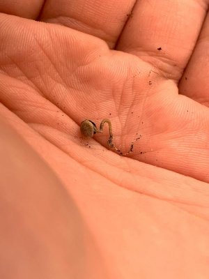 photo_2023-08-23_17-23-40.jpg photo_2023-08-23_17-23-40.jpg