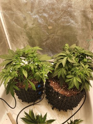 20230610_113812.jpg 20230610_113812.jpg