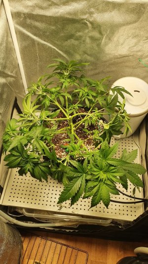 20230613_205857.jpg 20230613_205857.jpg