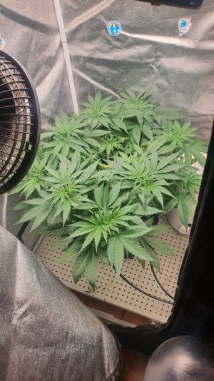 20230617_104536.jpg 20230617_104536.jpg