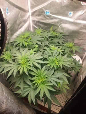 20230621_191359.jpg 20230621_191359.jpg