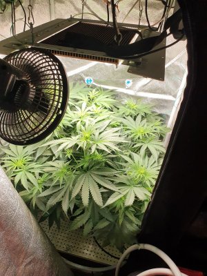 20230627_204753.jpg 20230627_204753.jpg