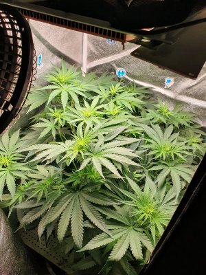 20230627_204755.jpg 20230627_204755.jpg