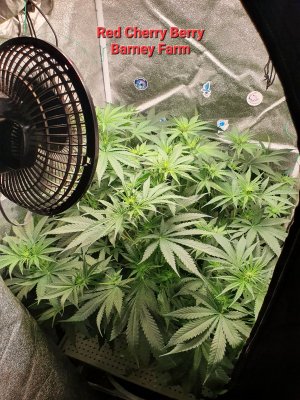 20230629_235100.jpg 20230629_235100.jpg