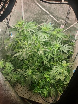 20230701_212949.jpg 20230701_212949.jpg