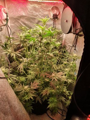 20230707_032445.jpg 20230707_032445.jpg