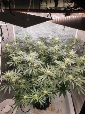 20230712_205404.jpg 20230712_205404.jpg