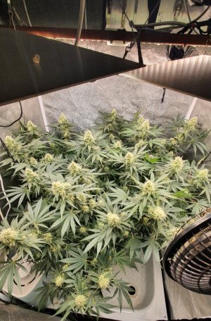 20230722_212813.jpg 20230722_212813.jpg