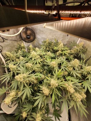 20230801_204800.jpg 20230801_204800.jpg