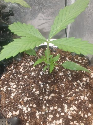 20230811_081844.jpg 20230811_081844.jpg