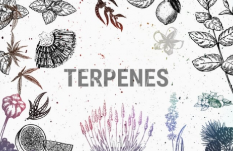 1692866360628.png 1692866360628.png