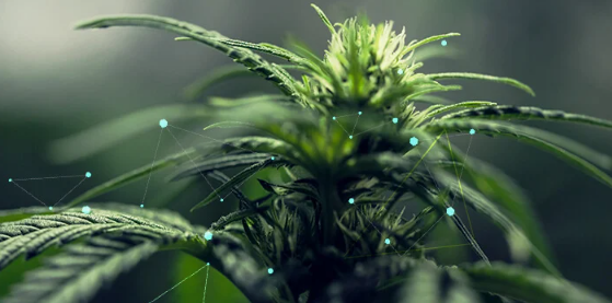 1692866615139.png 1692866615139.png