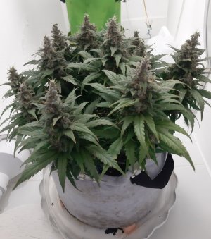 20230822_220842.jpg 20230822_220842.jpg