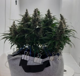 20230822_221224.jpg 20230822_221224.jpg