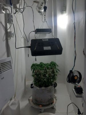 20230822_221150.jpg 20230822_221150.jpg