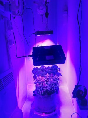 20230822_221133.jpg 20230822_221133.jpg