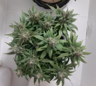 20230822_221353.jpg 20230822_221353.jpg