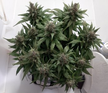 20230822_221838.jpg 20230822_221838.jpg