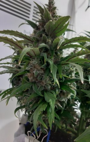 20230822_221807.jpg 20230822_221807.jpg