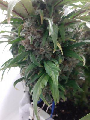 20230824_211102.jpg 20230824_211102.jpg