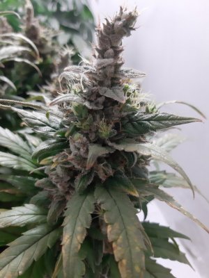 20230824_211229.jpg 20230824_211229.jpg