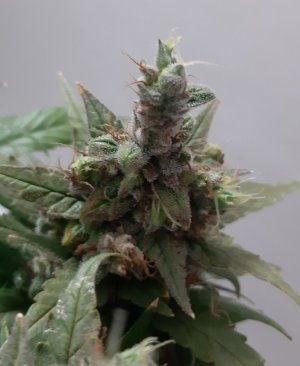 20230824_211256.jpg 20230824_211256.jpg