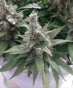 20230826_114629.jpg 20230826_114629.jpg