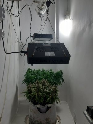 20230826_114424.jpg 20230826_114424.jpg