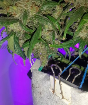 20230826_114821.jpg 20230826_114821.jpg