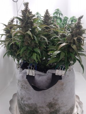 20230826_115134.jpg 20230826_115134.jpg