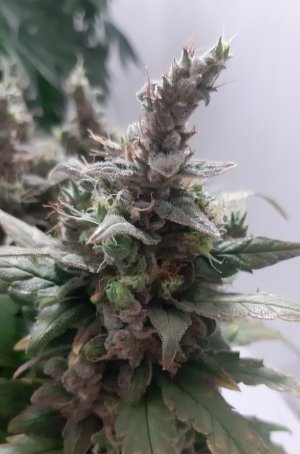 20230826_120020.jpg 20230826_120020.jpg