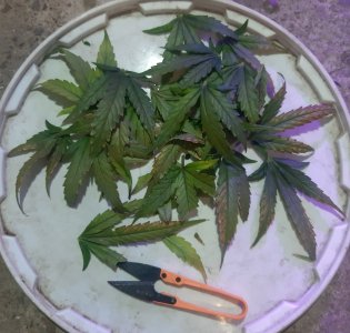 20230827_173441.jpg 20230827_173441.jpg