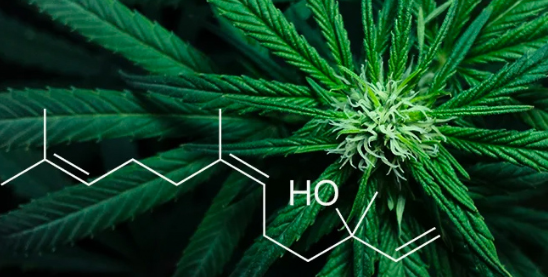 1693147614584.png 1693147614584.png